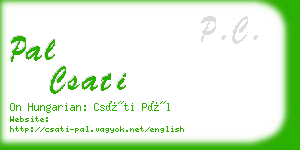 pal csati business card